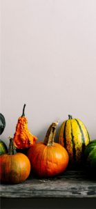 ベンチの上のかぼちゃ3