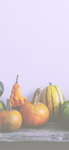 ベンチの上のかぼちゃ4