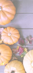 ドライフラワーとかぼちゃ1