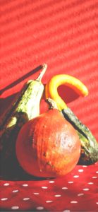 ドットとかぼちゃ1