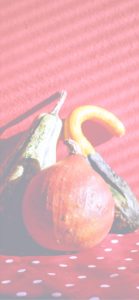 ドットとかぼちゃ2