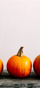 ベンチの上のかぼちゃ5