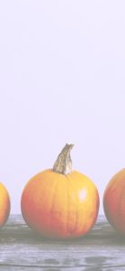 ベンチの上のかぼちゃ6