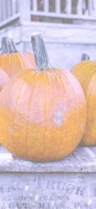 板の上のかぼちゃ2