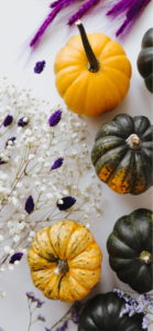 黄色のかぼちゃ3