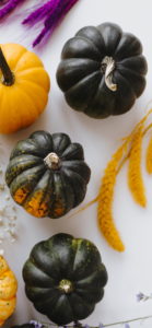 黄色のかぼちゃ5