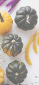黄色のかぼちゃ6