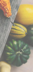 板の下のかぼちゃ2