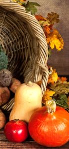 カゴとかぼちゃ1