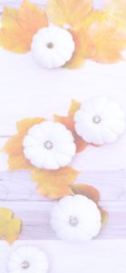 落葉と白いかぼちゃ2