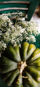 かすみ草とかぼちゃ1