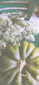 かすみ草とかぼちゃ2