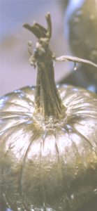 かぼちゃのオブジェ2