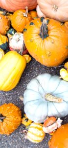 個性的なカボチャ1