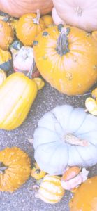 個性的なカボチャ2