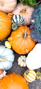 個性的なカボチャ3