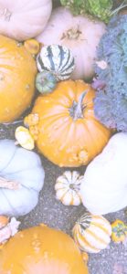 個性的なカボチャ4