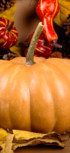 ミルクティー色のかぼちゃ1