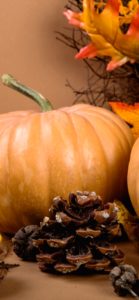 ミルクティ色のかぼちゃ3