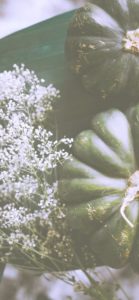 かすみ草とかぼちゃ4