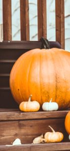 カラフルなかぼちゃ1