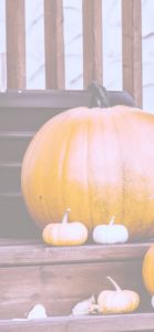 カラフルなかぼちゃ2