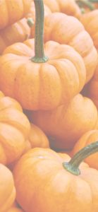 積まれたかぼちゃ1