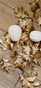 枯れ葉と白いカボチャ2