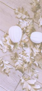 枯れ葉と白いカボチャ1