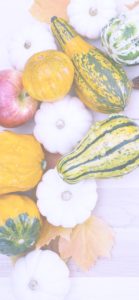 りんごとかぼちゃ5