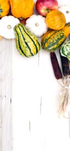 りんごとかぼちゃ4