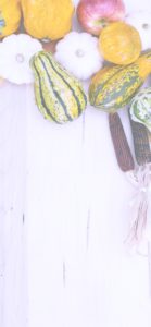 りんごとかぼちゃ3