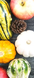 りんごとかぼちゃ2