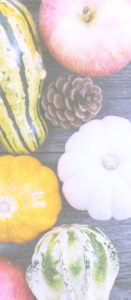 りんごとかぼちゃ1