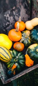 木箱のかぼちゃ2