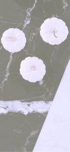 黒い床と白いかぼちゃ1