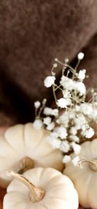 かすみ草と白いかぼちゃ2