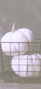 カゴに入った白いカボチャ1