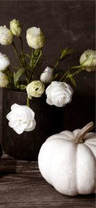 白いバラと白いカボチャ2