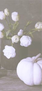 白いバラと白いカボチャ1