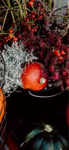 秋の花とかぼちゃ2