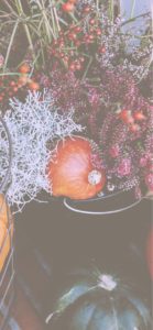 秋の花とかぼちゃ1