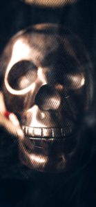 ゴールドのドクロ2