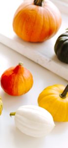 机の上のかぼちゃ1