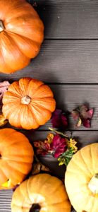 上から見たかぼちゃ1