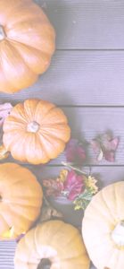 上から見たかぼちゃ2