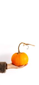 かぼちゃがひとつ1