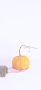 かぼちゃがひとつ2