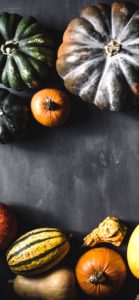 カボチャがゴロゴロ1