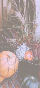 秋の花とかぼちゃ2